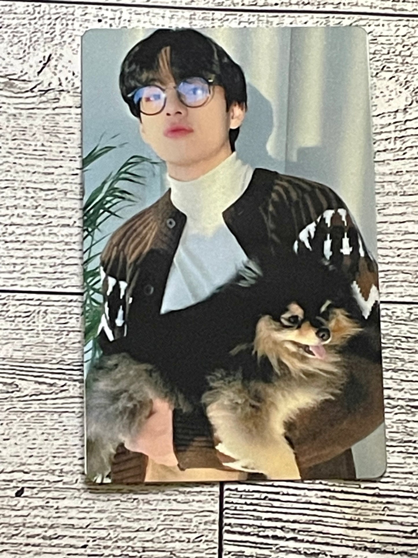 Taehyung Tannie’s Dog Park Metal Photo Card